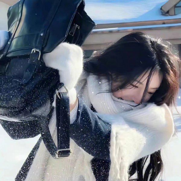 疑案忠魂
